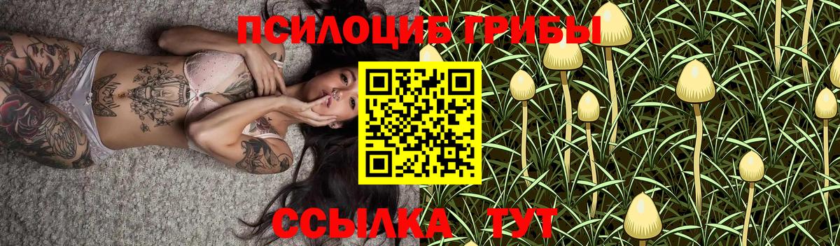 Галлюциногенные грибы MAGIC MUSHROOMS Чернушка