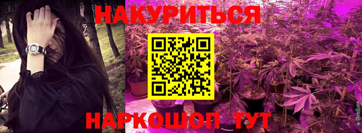 МЕФ Чернушка